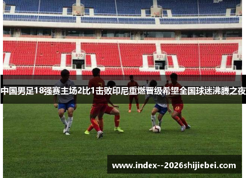 中国男足18强赛主场2比1击败印尼重燃晋级希望全国球迷沸腾之夜 中国男足18强赛主场2比1击败印尼重燃晋级希望全国球迷沸腾之夜